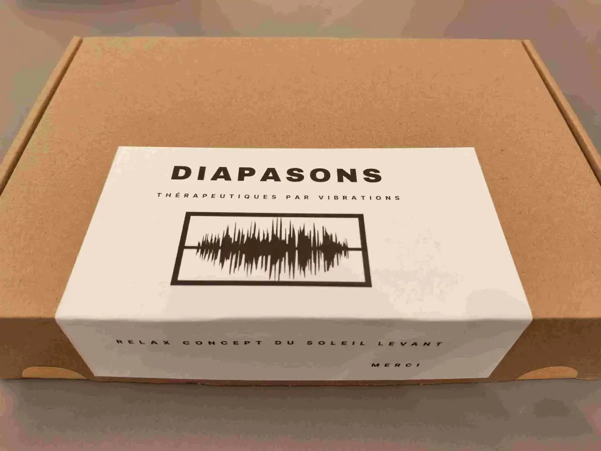 Coffret Diapasons : Thérapeutiques par vibrations
